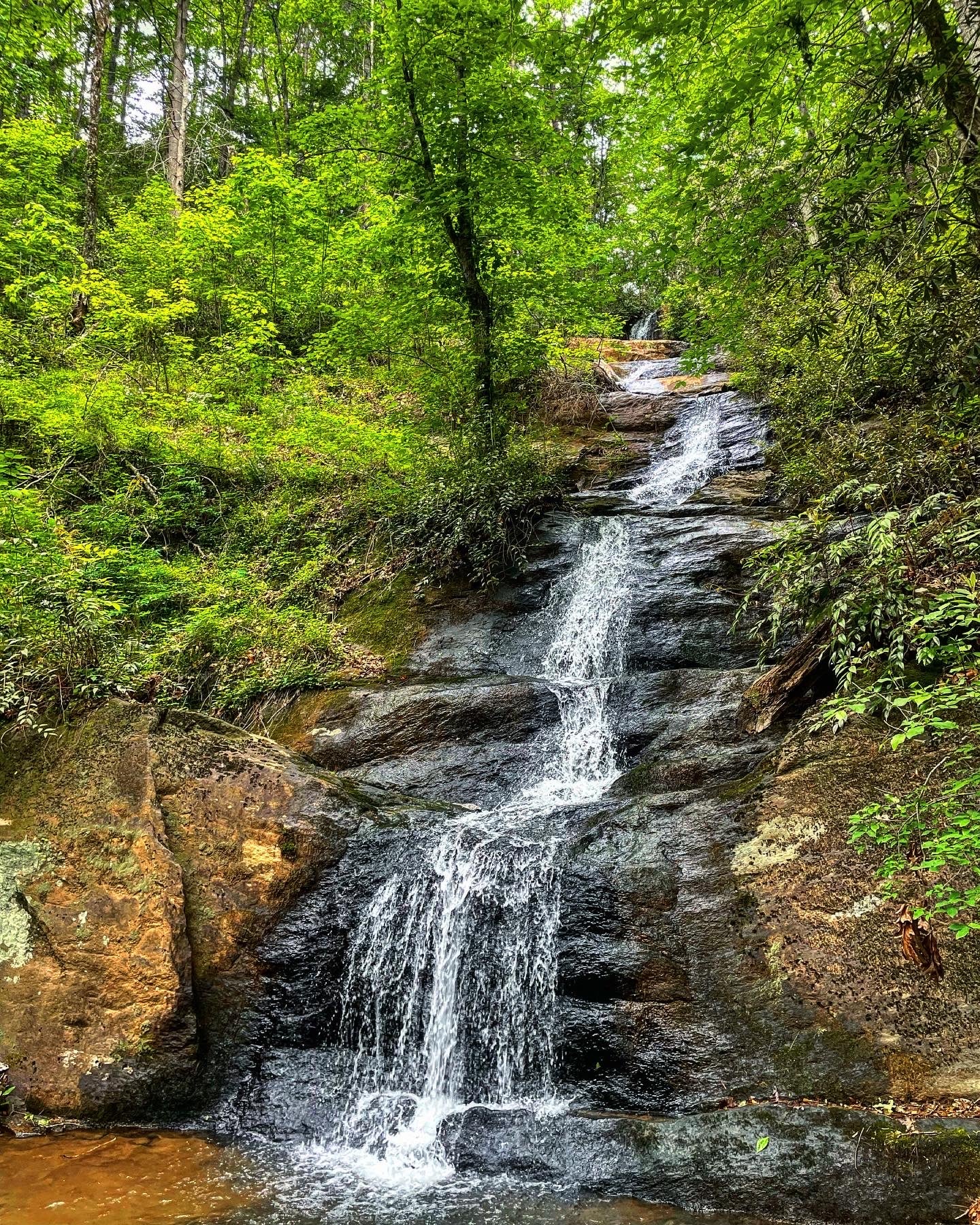 Heart Room (3 Twin Beds) Elohee, Georgia